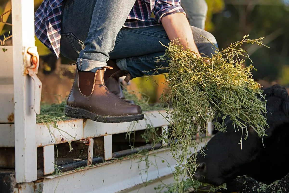 Blundstone non 2025 safety boots